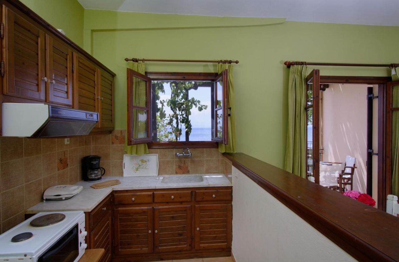 Iro Family Apartments Pelion レフォカストロ エクステリア 写真